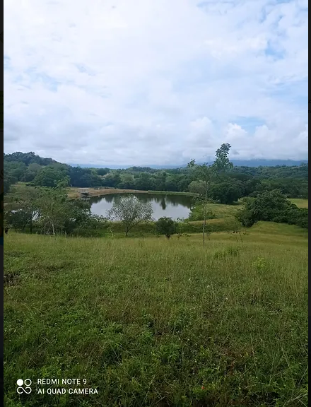 Screenshot 2022-12-20 at 08-16-00 Praderas del Sumapaz Venta lotes campestres