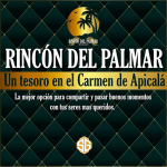 Screenshot 2022-12-25 at 10-04-39 Rincón del palmar Venta Lotes Urbanos