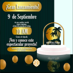 Screenshot 2022-12-25 at 10-05-01 Rincón del palmar Venta Lotes Urbanos