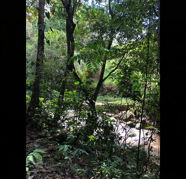 Screenshot 2022-12-26 at 08-16-53 fincas Olimpo Venta Lotes Campestres