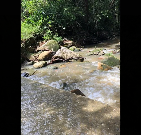 Screenshot 2022-12-26 at 08-17-14 fincas Olimpo Venta Lotes Campestres