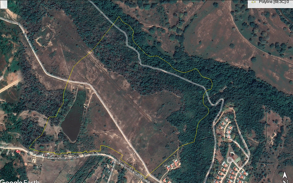 Screenshot 2023-01-09 at 21-37-56 c835e2_7038b492989a42e3ab16eb4c54d2da3f~mv2.png (WEBP Imagen 980 × 612 píxeles)