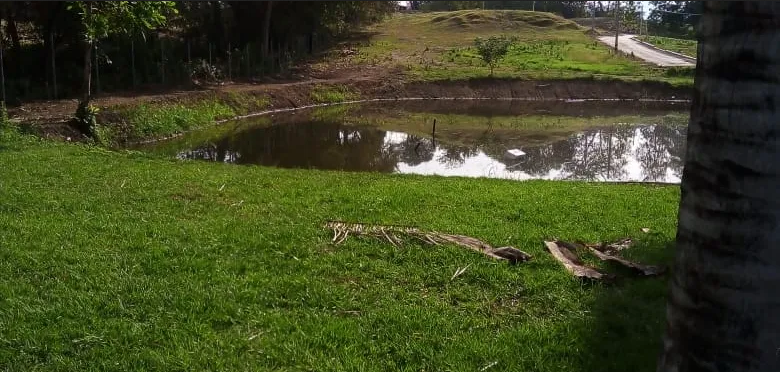 Screenshot 2023-01-10 at 09-57-12 c835e2_04b44ed5356e4707838206c49c0a5caf~mv2.jpeg (WEBP Imagen 780 × 372 píxeles)