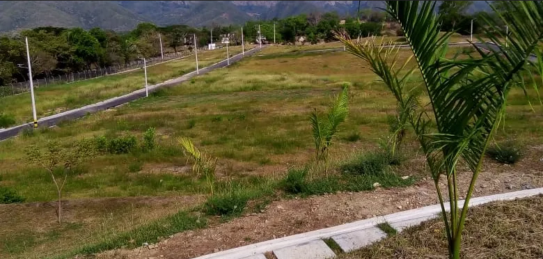 Screenshot 2023-01-10 at 09-57-21 c835e2_f212cb3c79644004b8a42338c88d4f00~mv2.jpeg (WEBP Imagen 780 × 372 píxeles)